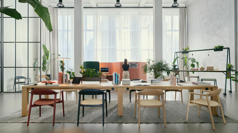 When organic design meets craftsmanship: the new se:café wooden chair and the new se:café lounge chair of Sedus are sure to catch the eye with their timeless aesthetic. // Weiterer Text über ots und www.presseportal.de/nr/43223 / Die Verwendung dieses Bildes für redaktionelle Zwecke ist unter Beachtung aller mitgeteilten Nutzungsbedingungen zulässig und dann auch honorarfrei. Veröffentlichung ausschließlich mit Bildrechte-Hinweis. Quelle: Sedus Stoll AG
