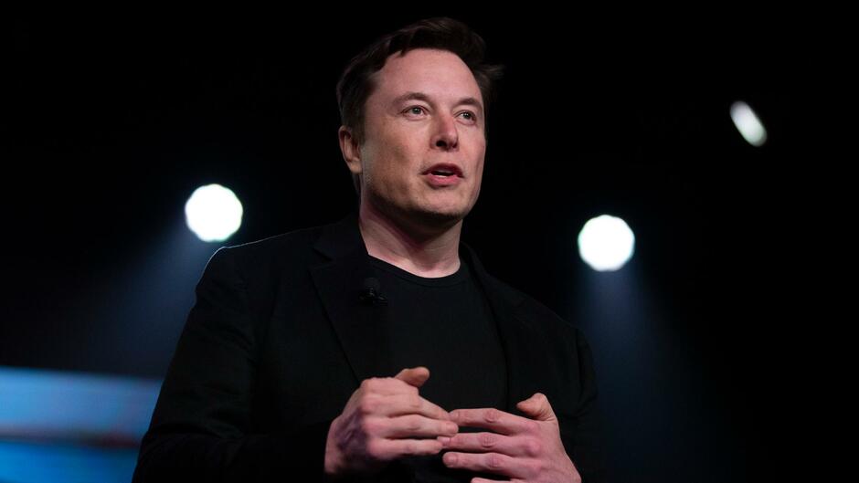 Elon Musk Twitter Umfrage