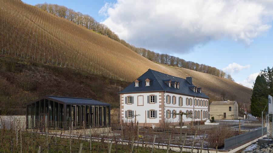 Saar Delights The Call Of The Wine
