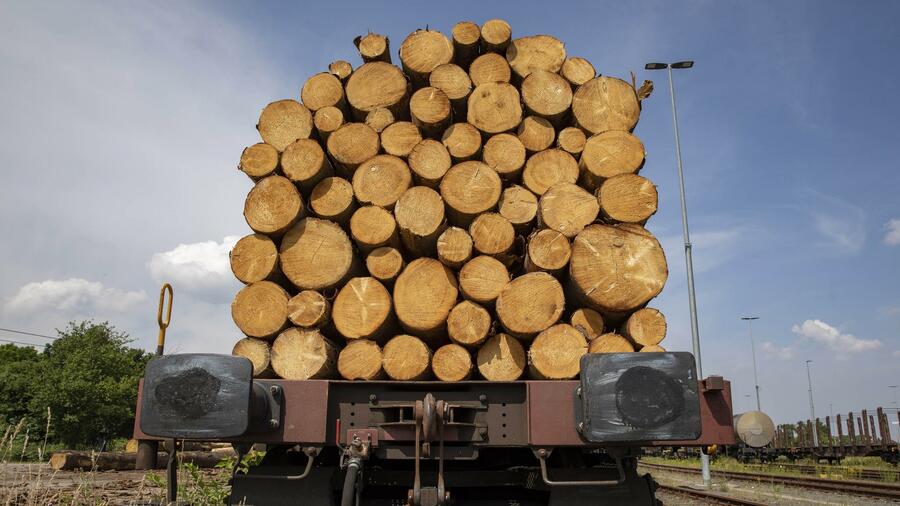 Gerodetes Holz beim Verladen auf Güterwaggons im Schienengüterverkehr. Die globale Nachfrage nach Holz steigt enorm an. Quelle: action press