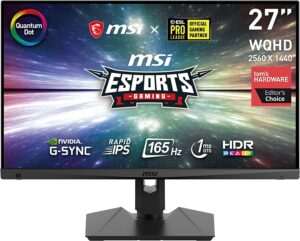 27 Zoll Monitor