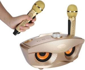 Funklautsprecher mit Mikrofonen