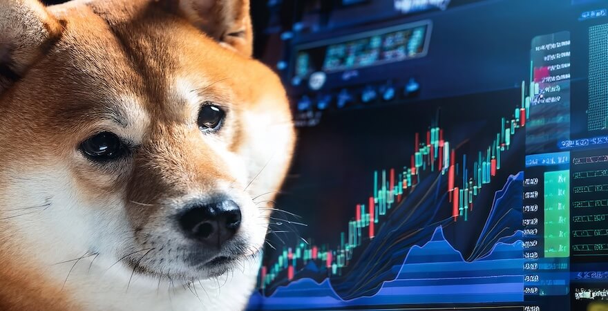 Shiba Inu Bitpanda AB