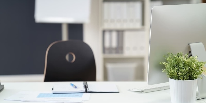 Heller, aufgeräumter Büroarbeitsplatz mit Computer, Unterlagen und grüner Pflanze im Vordergrund